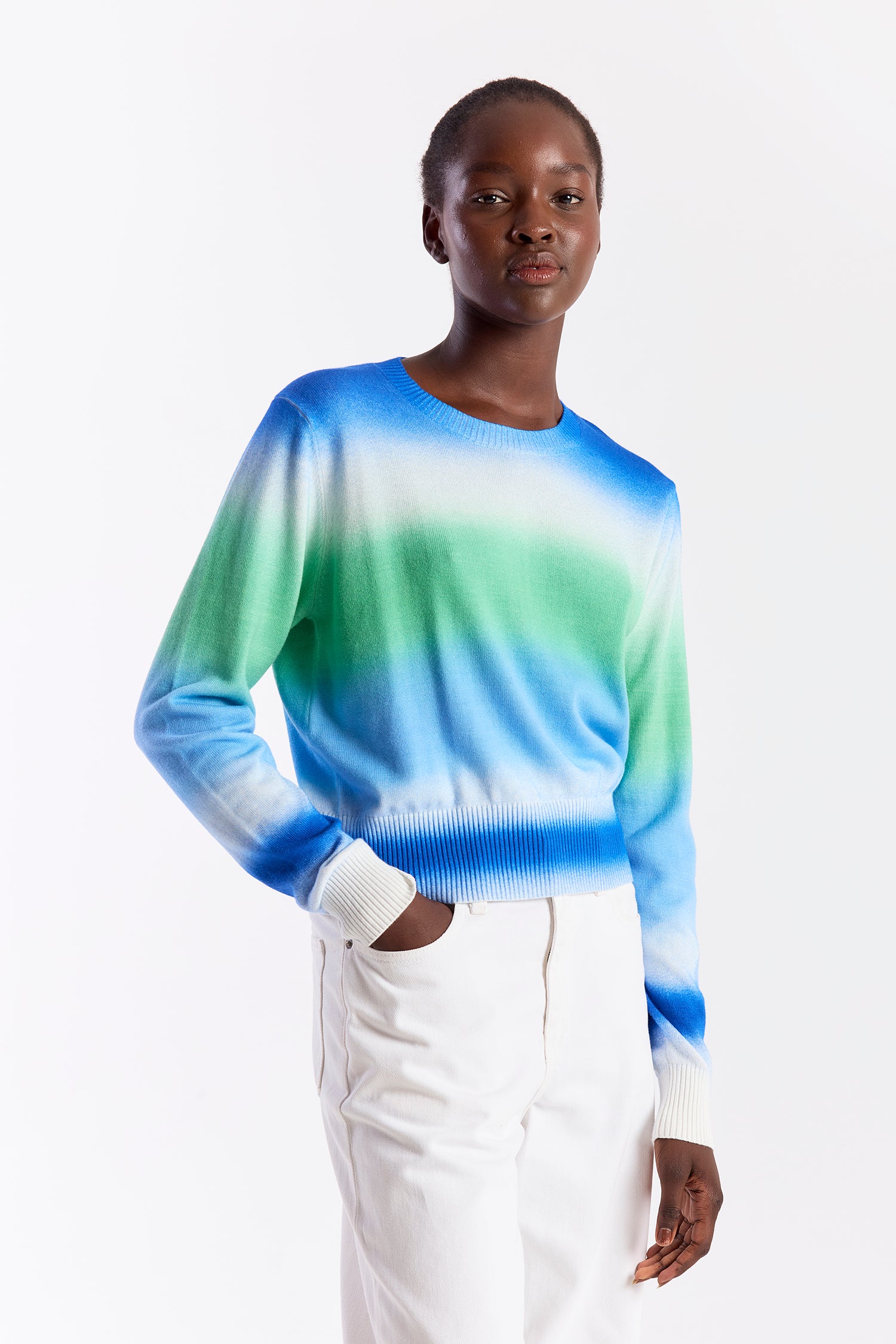BLURRED STRIPE CREW