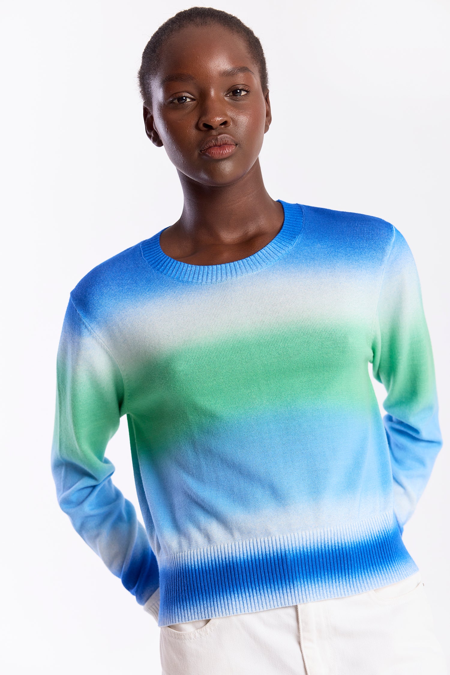 BLURRED STRIPE CREW